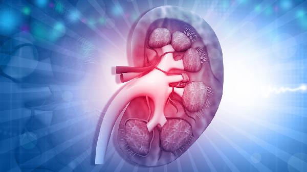 轻度系膜增生肾炎的治愈率