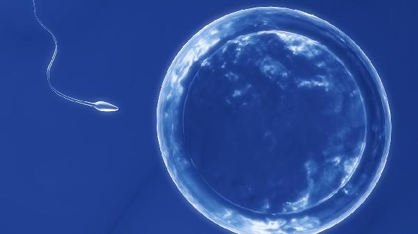 卵子着床有什么症状 卵子着床的4个症状很常见