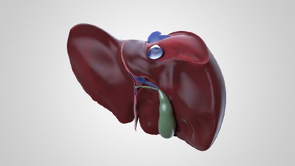 肝脏高回声结节是什么意思