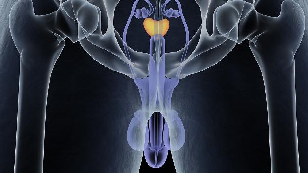 男性早泄怎么回事 怎么办