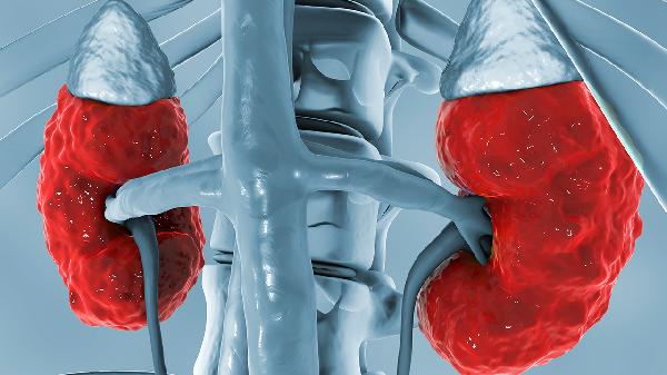 慢性肾小球肾炎容易反复发烧吗 慢性肾小球肾炎的常见症状须知