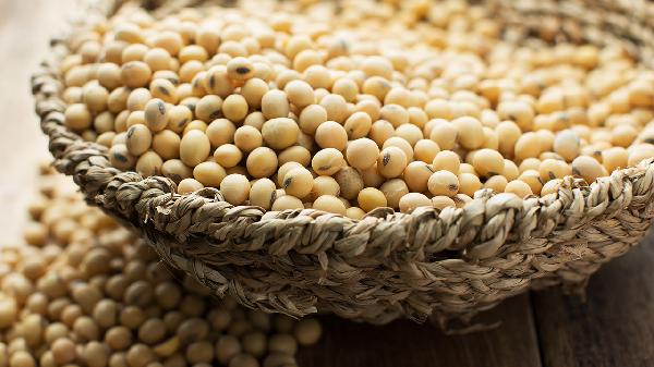 扩张性心肌病吃什么好 这些食物改善扩张性心肌病