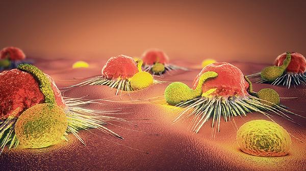 三个月婴儿诺如病毒是怎么引起的