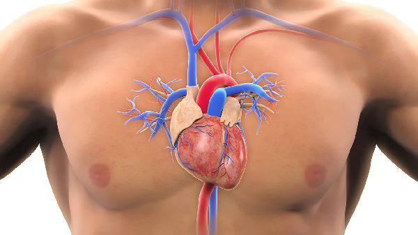 宝宝心脏间隔缺损是什么原因引起的