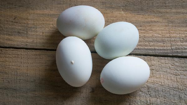 血清免疫球蛋白是什么意思