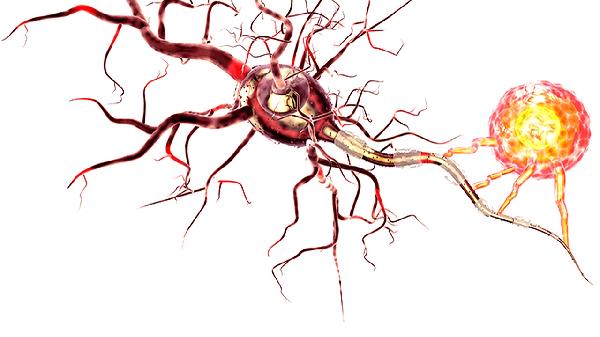 从炎症到癌症 转瞬就能发生 医生告诉您:这几种炎症格外凶险
