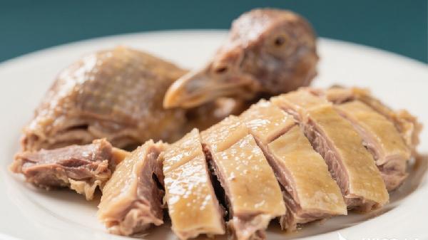 吃鸽子肉对伤口愈合有什么好处