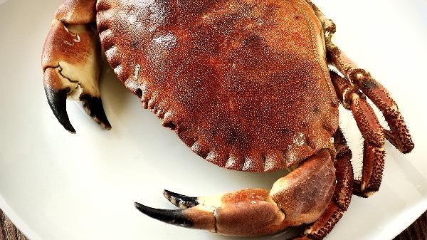 吃螃蟹喉咙不舒服怎么回事