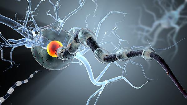 人为什么会得运动神经元病 得运动神经元病的6个原因须知