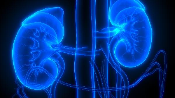 肾风是什么引起的