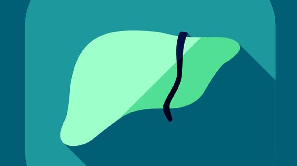 天门冬氨酸氨基转移酶偏高严重吗