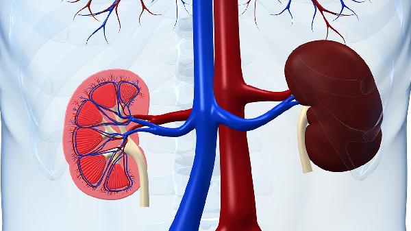 男人肾好不好 看晨尿 若有这3种异常 应及时就医 进行肾筛查