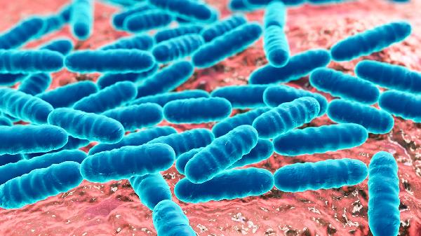 h5n8型禽流感病毒感染人传人吗