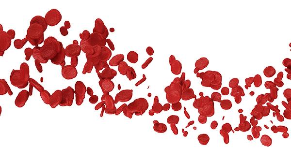 贫血应该输入红细胞还是血浆