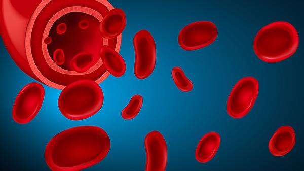 AB型血小板可以给任何血型的人输吗