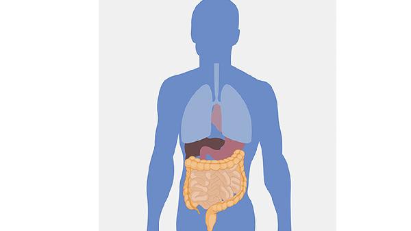 胃肠胀气放屁是什么原因引起的