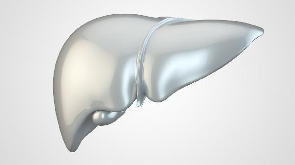 乙肝两对半定量和dna定量区别