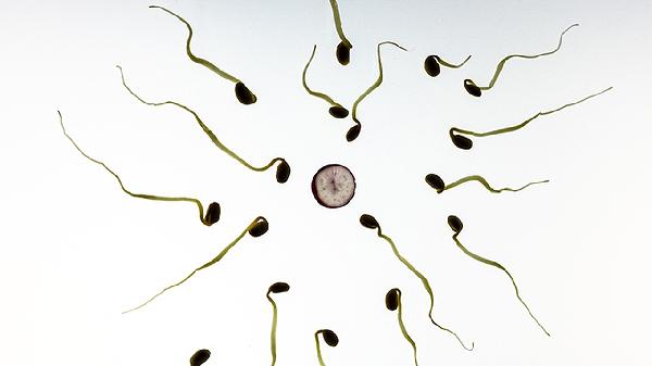 化疗后淋巴细胞低怎么回事