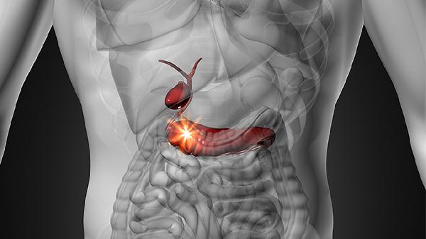 原发性胆汁性肝硬化的症状有哪些 什么是原发性胆汁性肝硬化