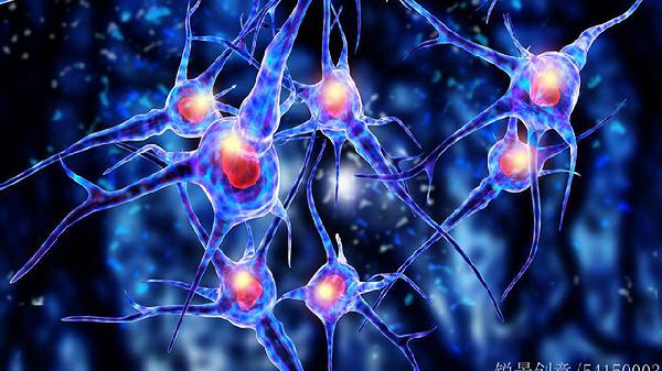 中性粒细胞低淋巴细胞高是怎么回事