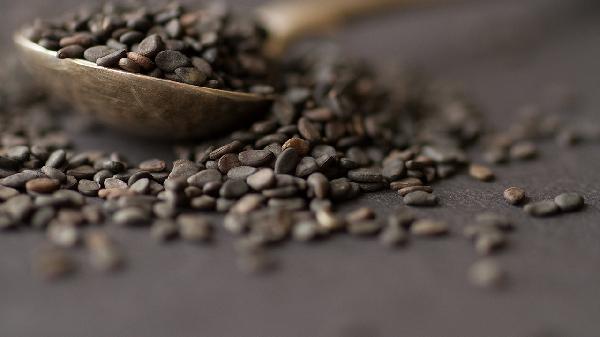 多吃黑芝麻可以防止脱发吗