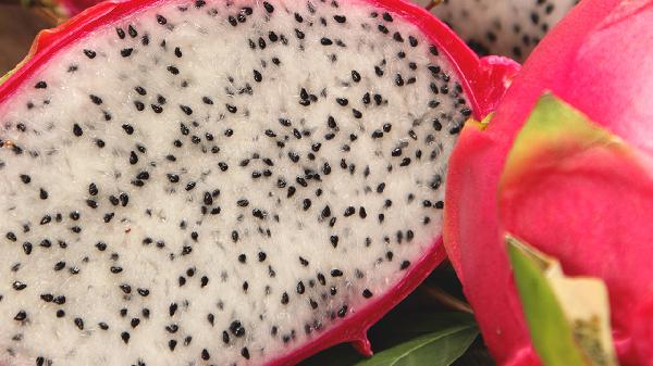 红心火龙果糖尿病人能吃吗