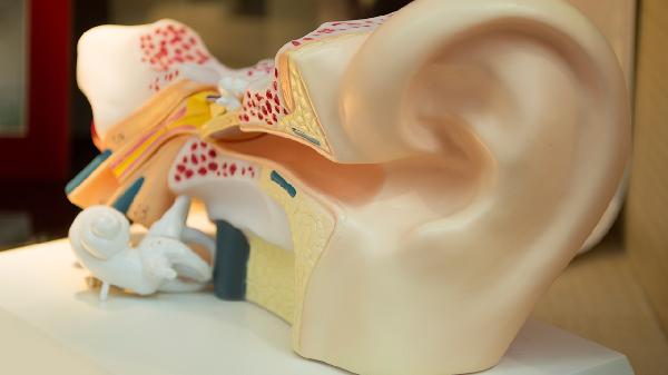 挖了耳朵后一碰就痛怎么办