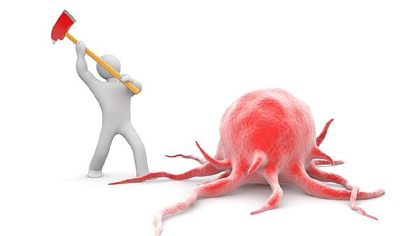 中性粒细胞百分比偏高是什么意思