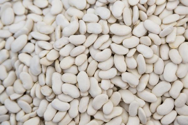 男人的龟头上有一圈小豆豆怎么回事