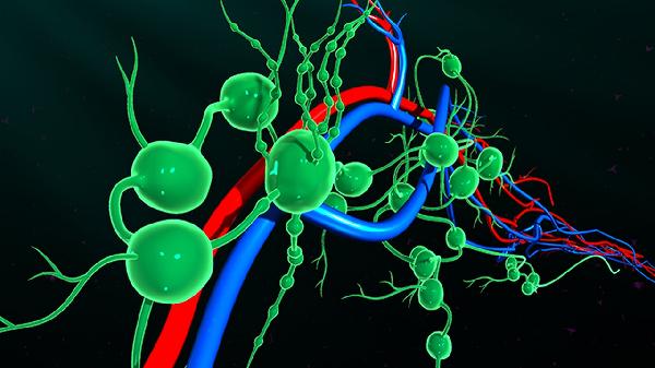 胰腺癌为何被称为“癌症之王” 看完你就明白了 胰腺癌不能轻视