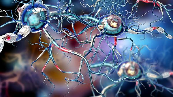 神经源性下尿路功能障碍如何分类