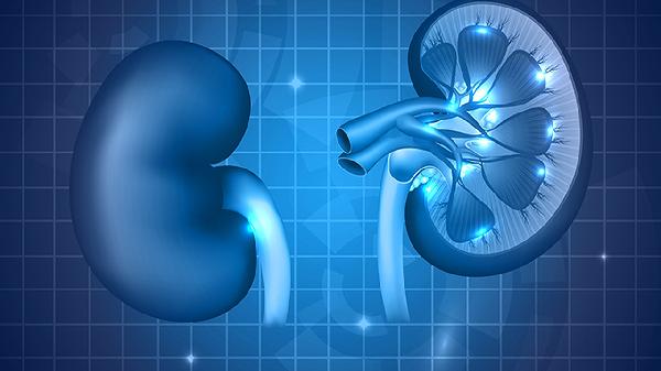 肾上腺低密度结节什么意思