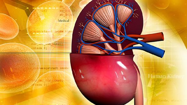 肾受损时可引起哪些功能异常
