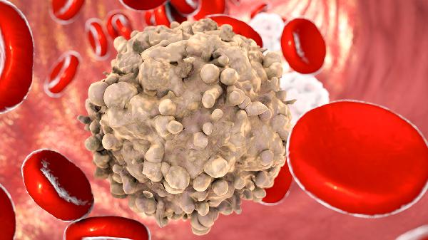 发热了白细胞26×10⁹/L正常吗