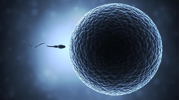 精子存活率低的治疗和预防方法