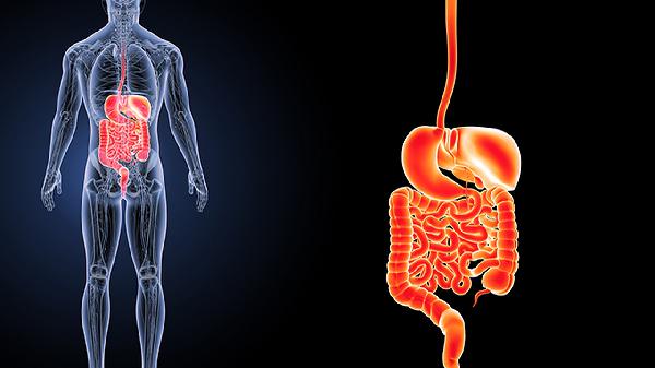 机械通气可发生的胃肠并发症有哪些