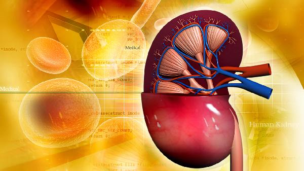 做CT肾上有肿块问题大不大