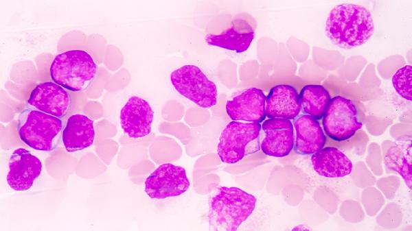 四季抗病毒合剂是退烧药吗