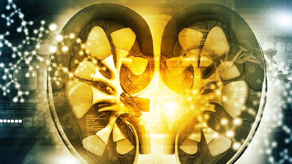 双肾尿钙沉积是病吗