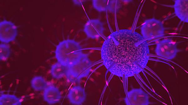 基底细胞癌的临床表现有哪些