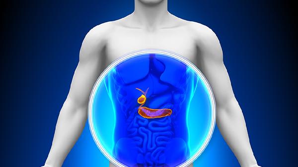 胆汁淤滞的预防方法盘点 了解胆汁淤滞的四个预防方法