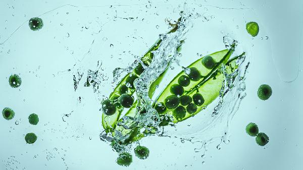 吃什么治内分泌失调 调整内分泌的饮食要求介绍