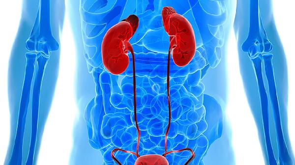 左肾囊肿会自行消失吗