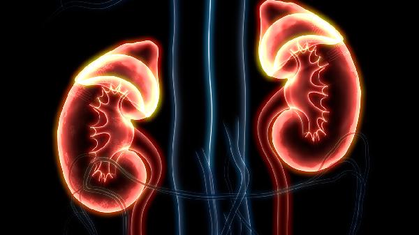 肾肿瘤手术费用多少钱