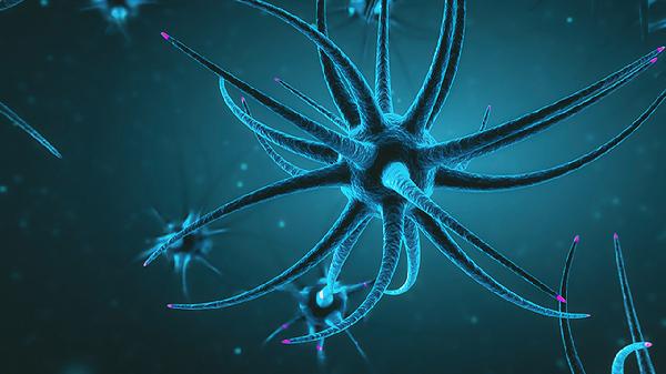 有遗传性视神经萎缩怎么饮食好