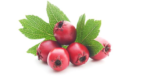 常吃山楂是降血糖 还是升血糖 告诉你真相 别乱吃