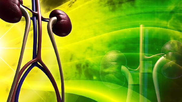 慢性肾功能不全二期严重吗