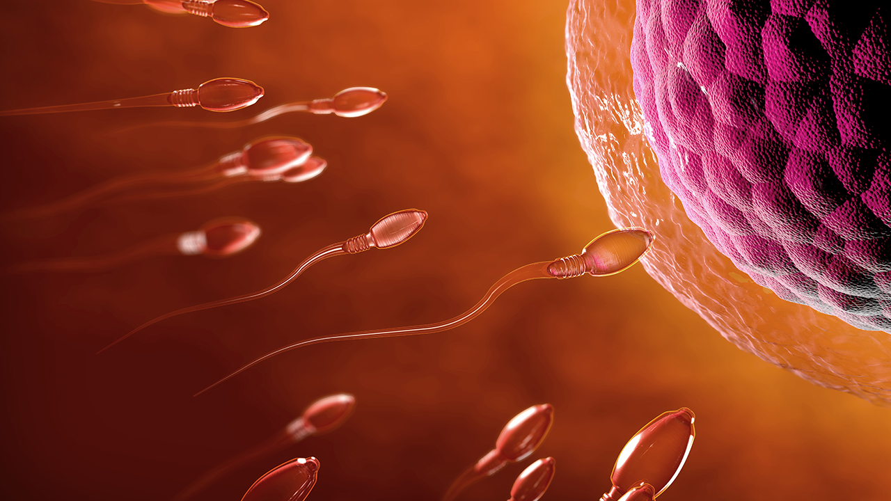 为什么越来越多的夫妇很难怀孕 这四个原因了解