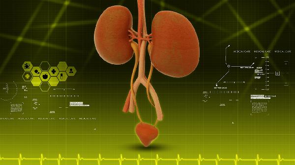 慢性肾病不可以吃什么水果