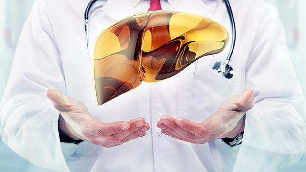 哪些不良的饮食习惯会导致脂肪肝的出现